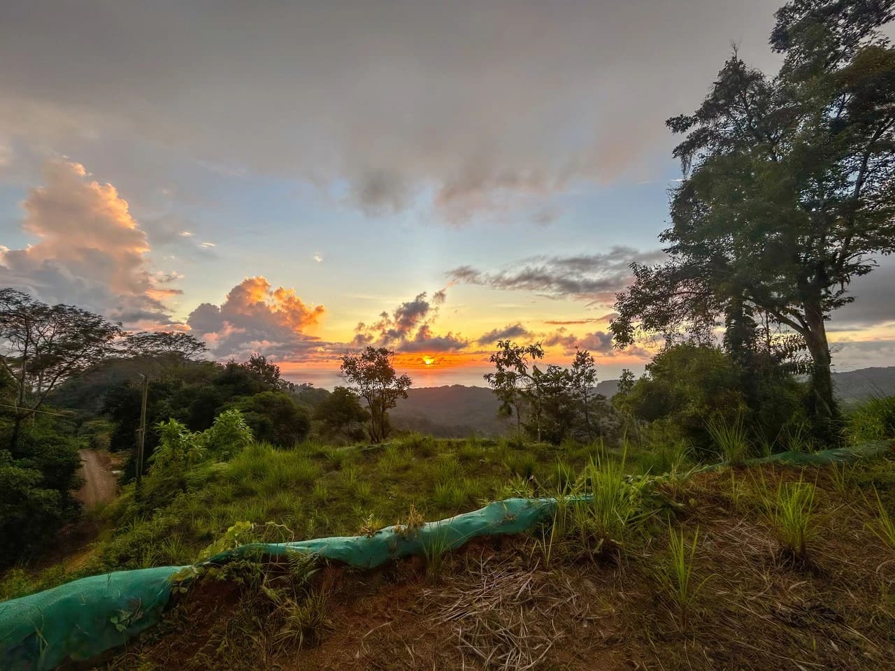 Year-Round Sunset Views | 3 Connected Build-Ready Lots - photo 6