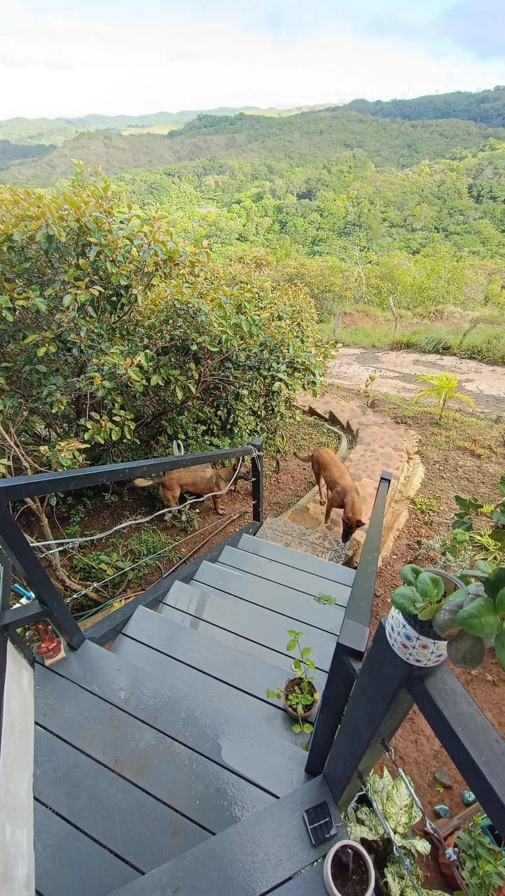 Hill top house with amazing sunset views GB0125: Peaceful Retreat with developing Potential: Property with 2 Homes and Panoramic Views in Guayabo de Bagaces - photo 9
