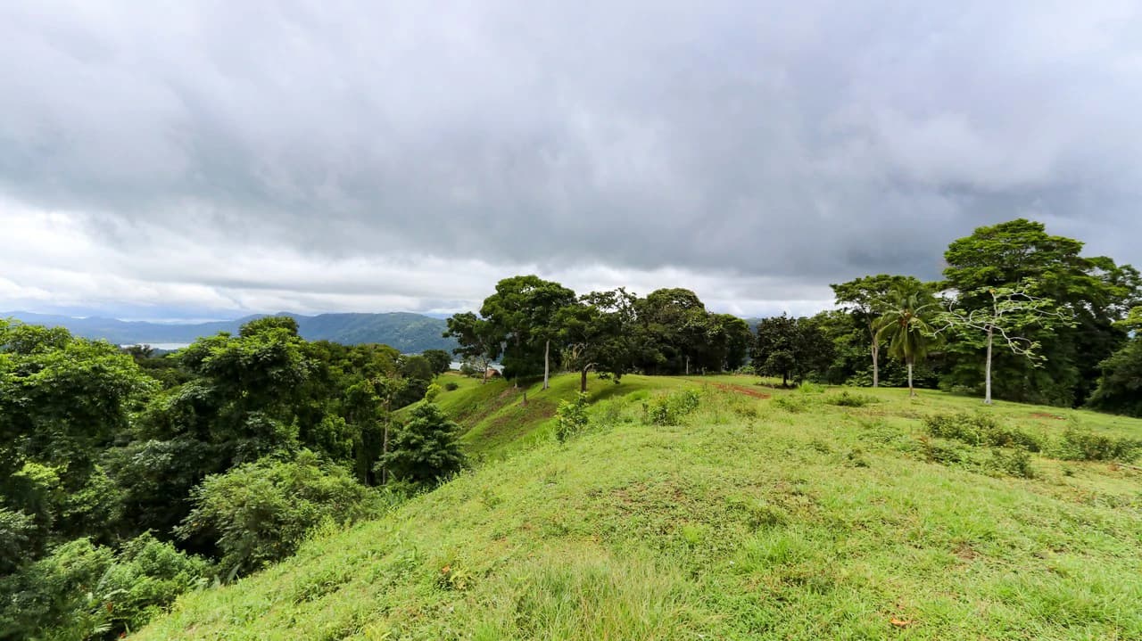 Unique Development Property Overlooking the Pristine Golfito Bay and Golfo Dulce - photo 34