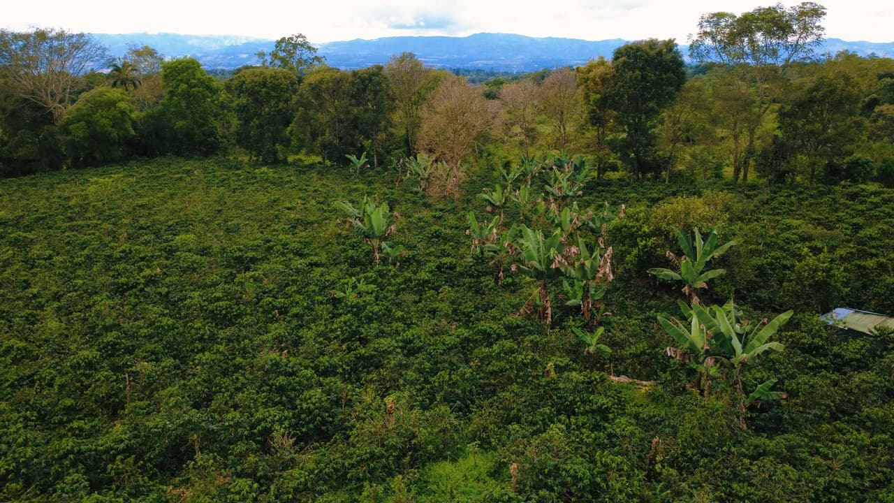 Countryside Home Construction Site For Sale in Santa Elena de San Isidro - photo 8