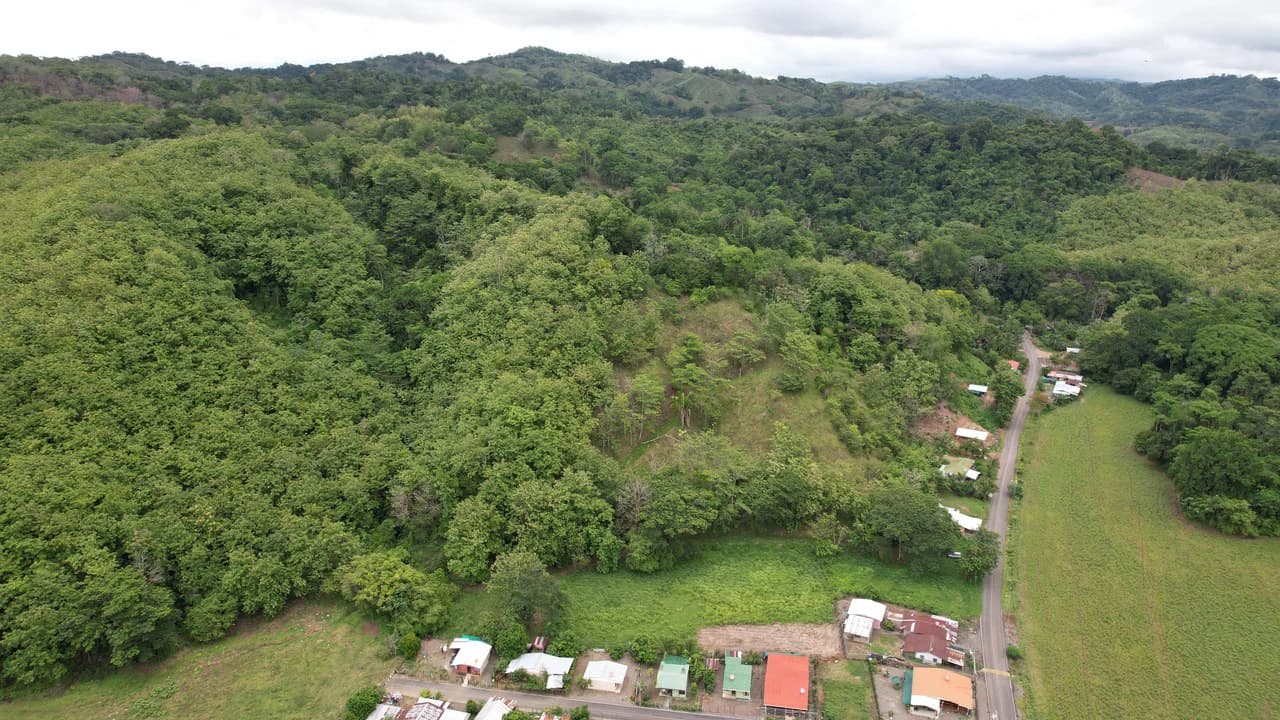 Finca Linda vista: Property for sale with flat land and small mountain with terrace to build and incredible views - photo 6