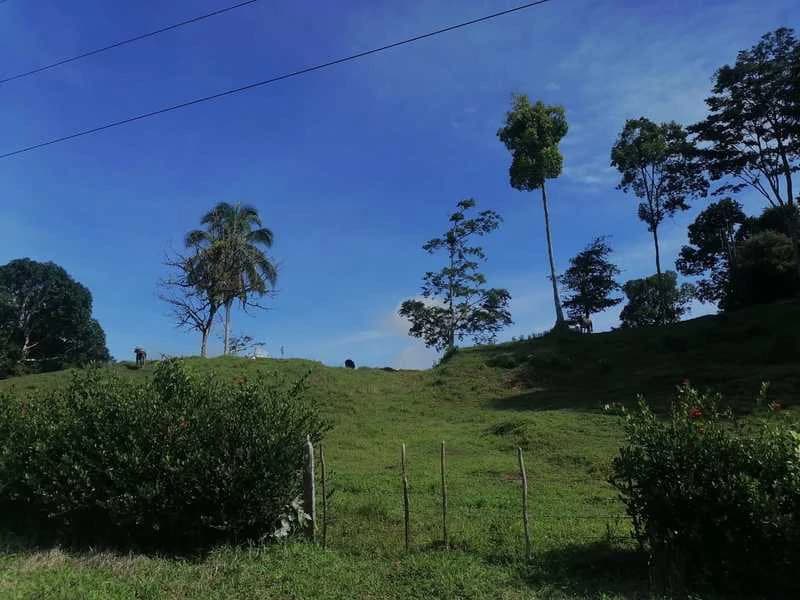 69.16 Acres Property | Mountain & Top Ocean View with Small Home - photo 29