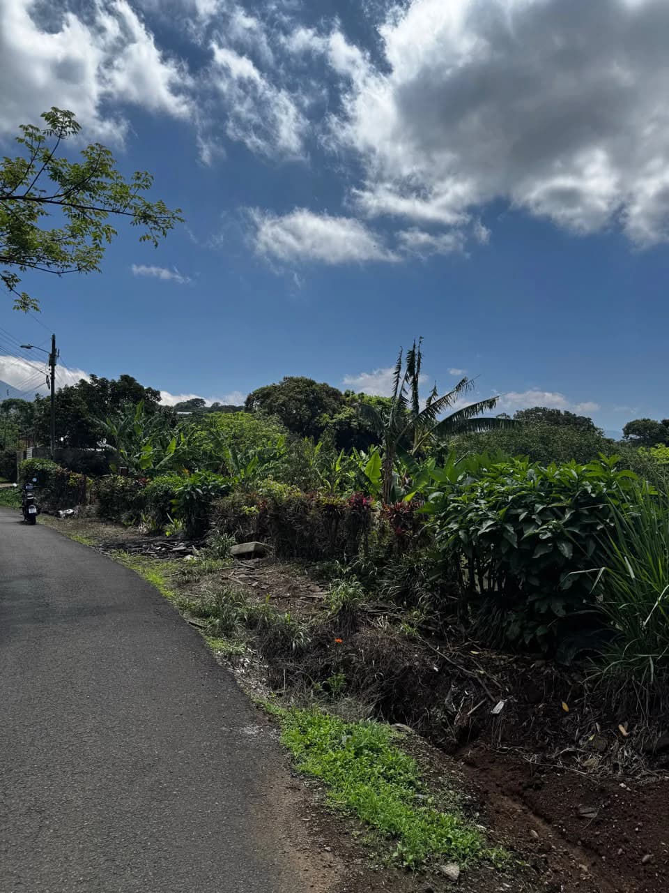 Finca with Views!: It's Perfect for You! - photo 4