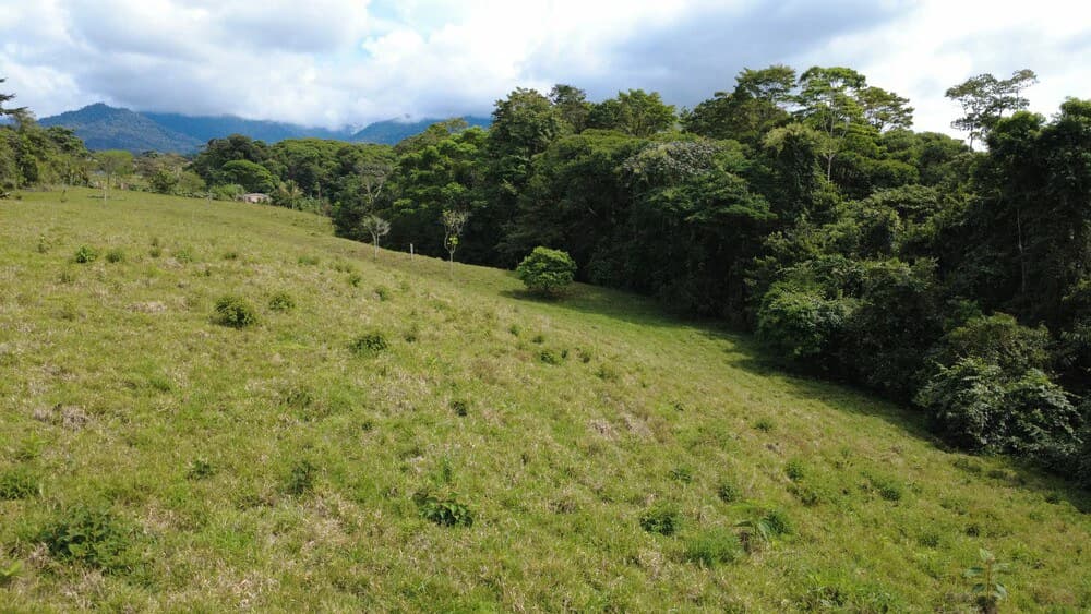 Countryside Home Construction Site For Sale in Centro de Pérez Zeledón - photo 5