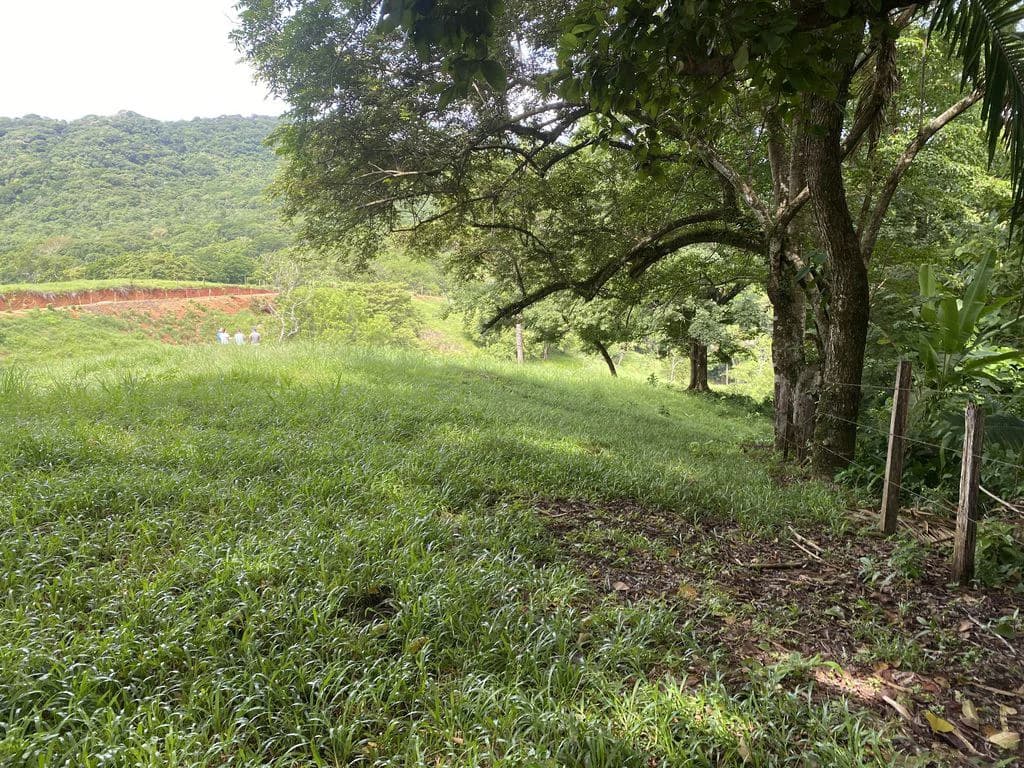 Finca Rio El Carmen: 3 HA Finca with Elevation Across from Renowned Rio Ora, 1 HA parcels available, Three 1700 m2 lots - All available in Rustic El Carmen - photo 3