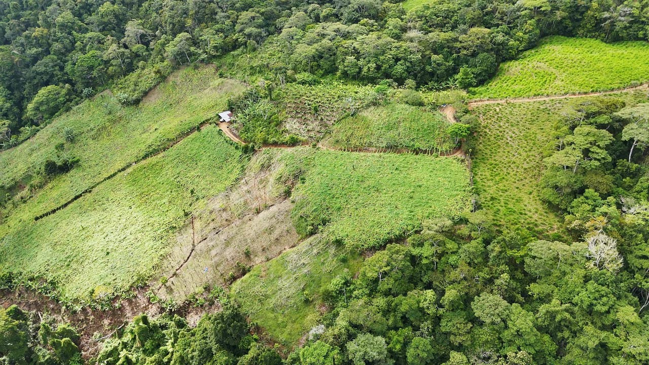 Mountain Agricultural Land For Sale in San Isidro del General - photo 17