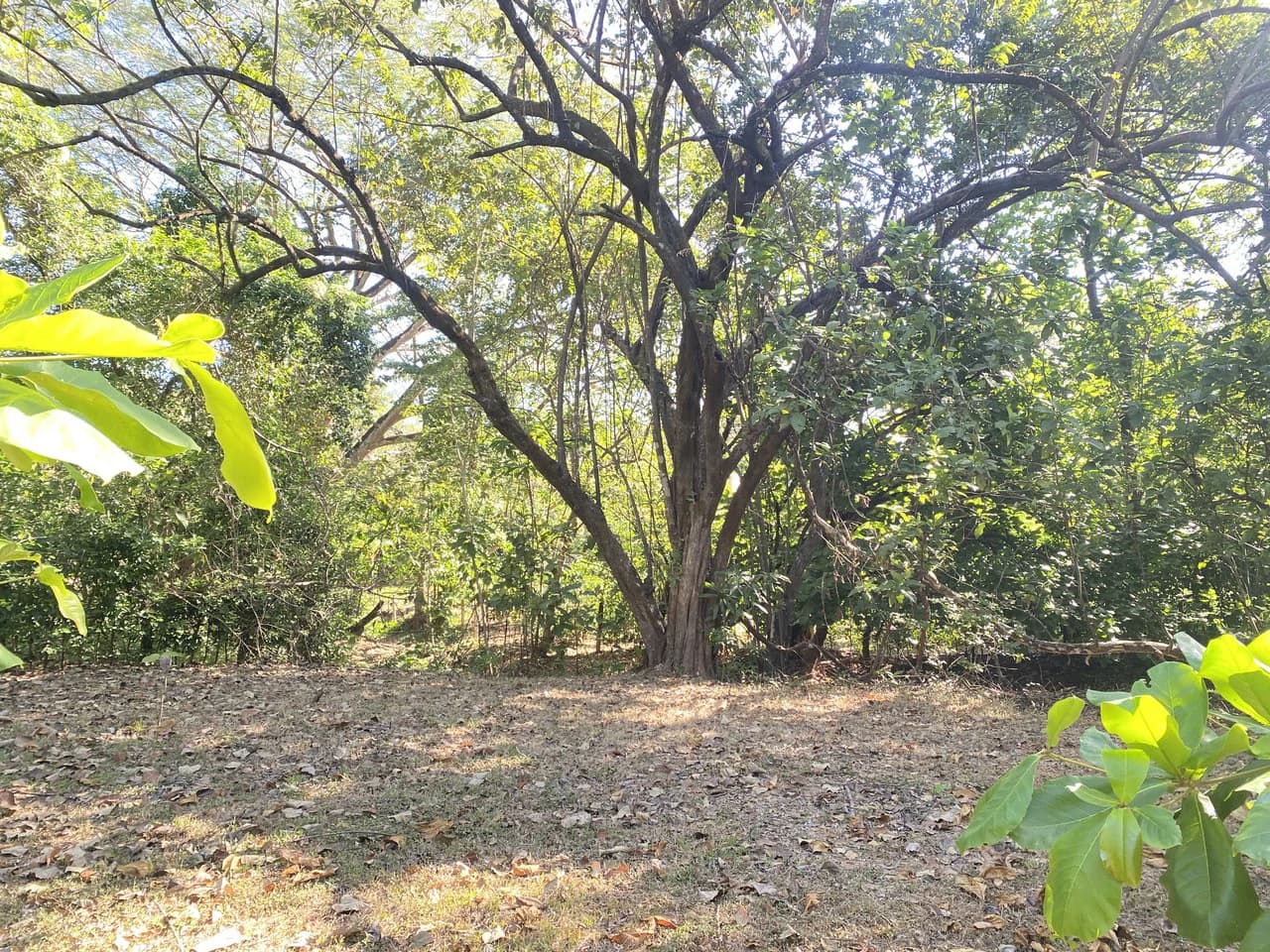 "Living in Marbella" Lot: Land with water meter installed by Marbella Beach - photo 5
