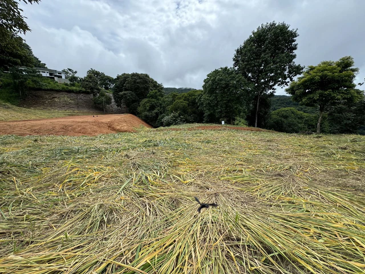 Playa Dominical Mountain Farming Property - photo 15