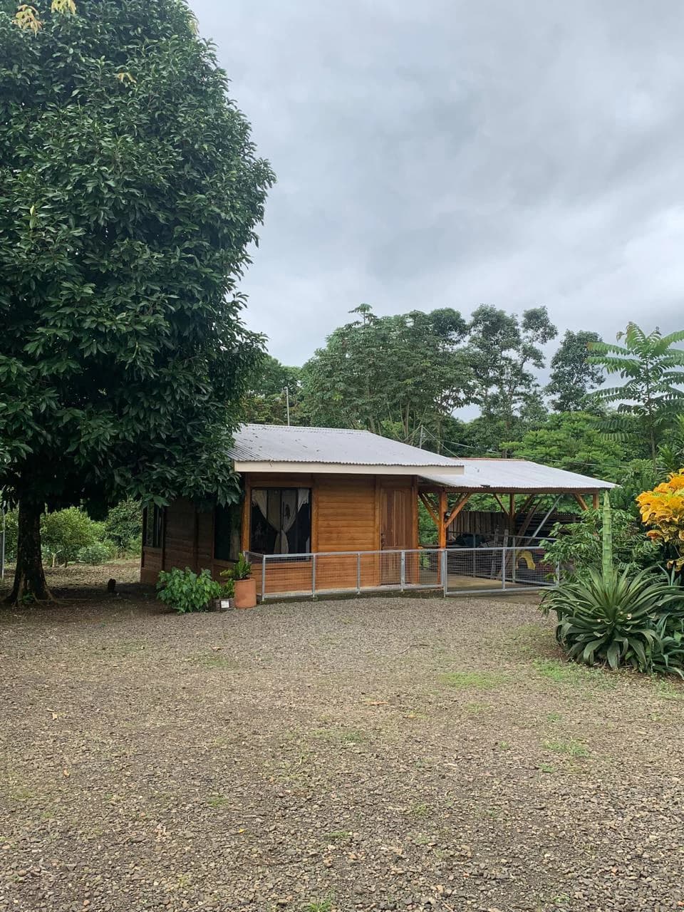 Charming Country Farmhouse with Profitable Ornamental Plant Farm: Great location near La Fortuna and Ciudad Quesada - photo 9