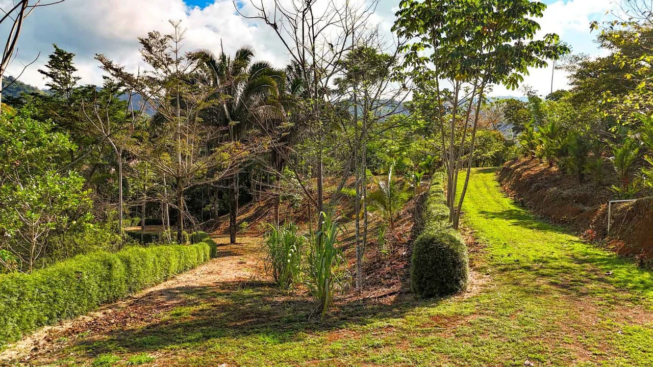 32 Acre Self Sustainable Farm with House Close Ojochal - photo 59