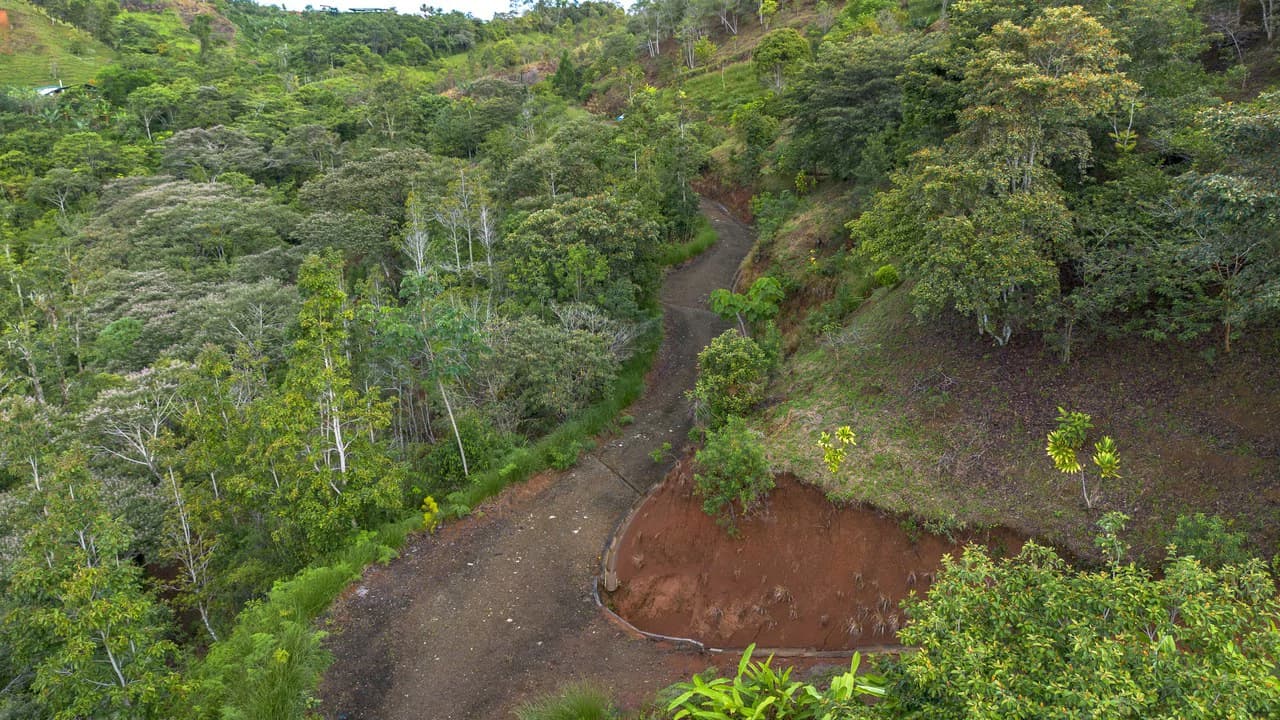 10.21 Acres with Views & Plantels – Pérez Zeledón - photo 20