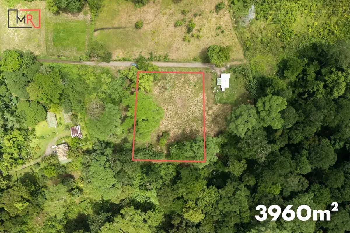 ID 1134: 3960m² Flat Development Lot Near Cahuita, Costa Rica - photo 2