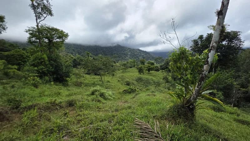116-Hectare Finca for Sale Near Uvita with Whales Tail Views and 10 Waterfalls | La Faralla, Bahia Ballena, Uvita, Puntarenas, Costa Rica - photo 48