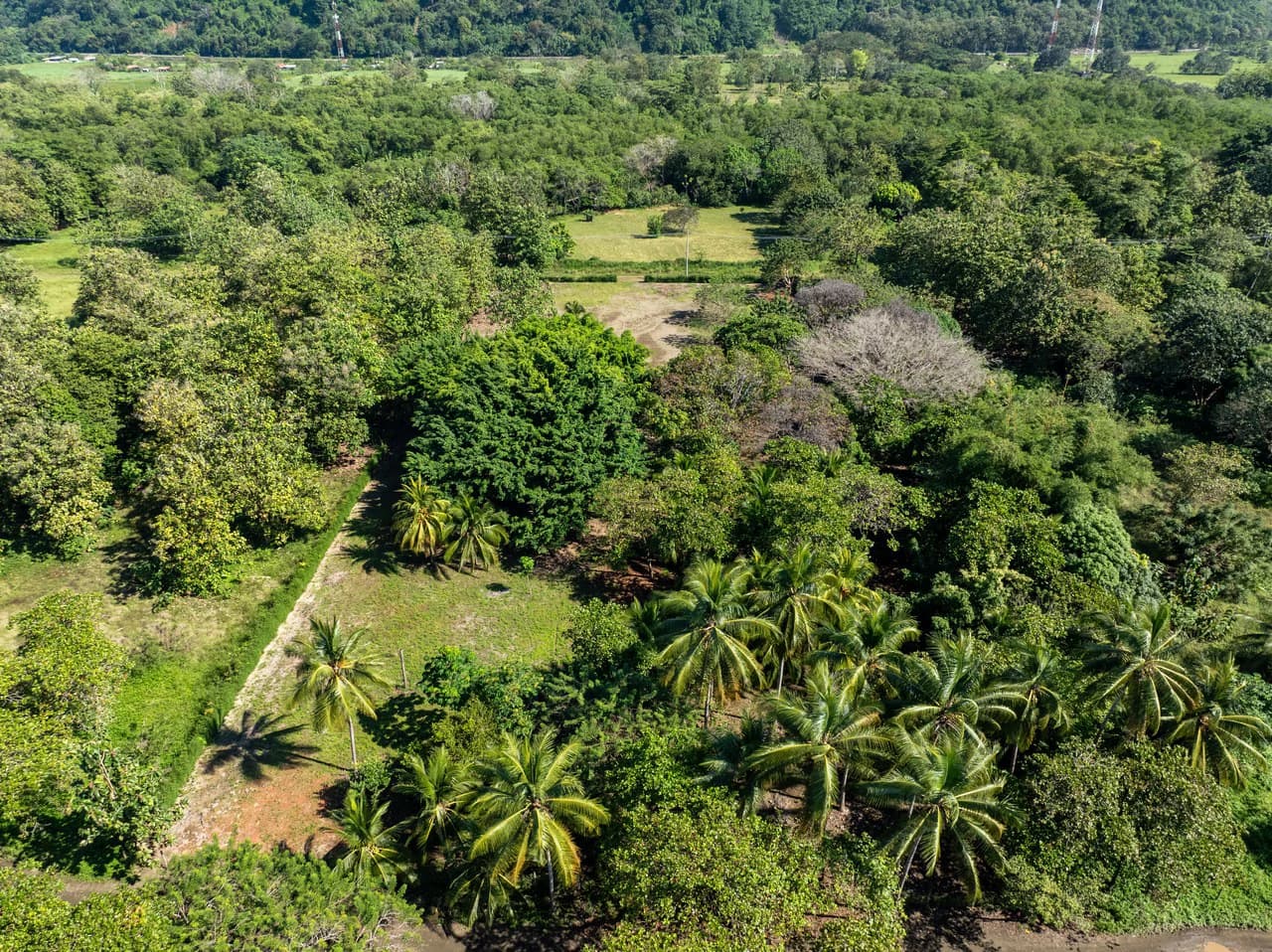 Exclusive Beachfront Opportunity south of Manuel Antonio Costa Rica - photo 7
