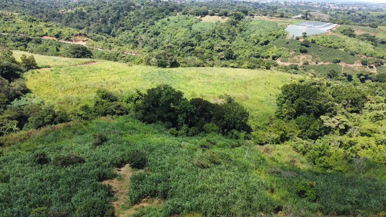 Multinational Investment: Large-Scale Commercial Development Opportunity - photo 4