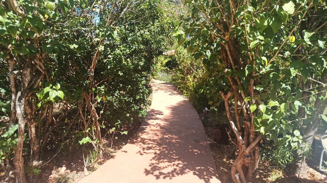 Private Home with Apartment, Pool, and Tropical Garden for Sale in Playas del Coco - photo 41