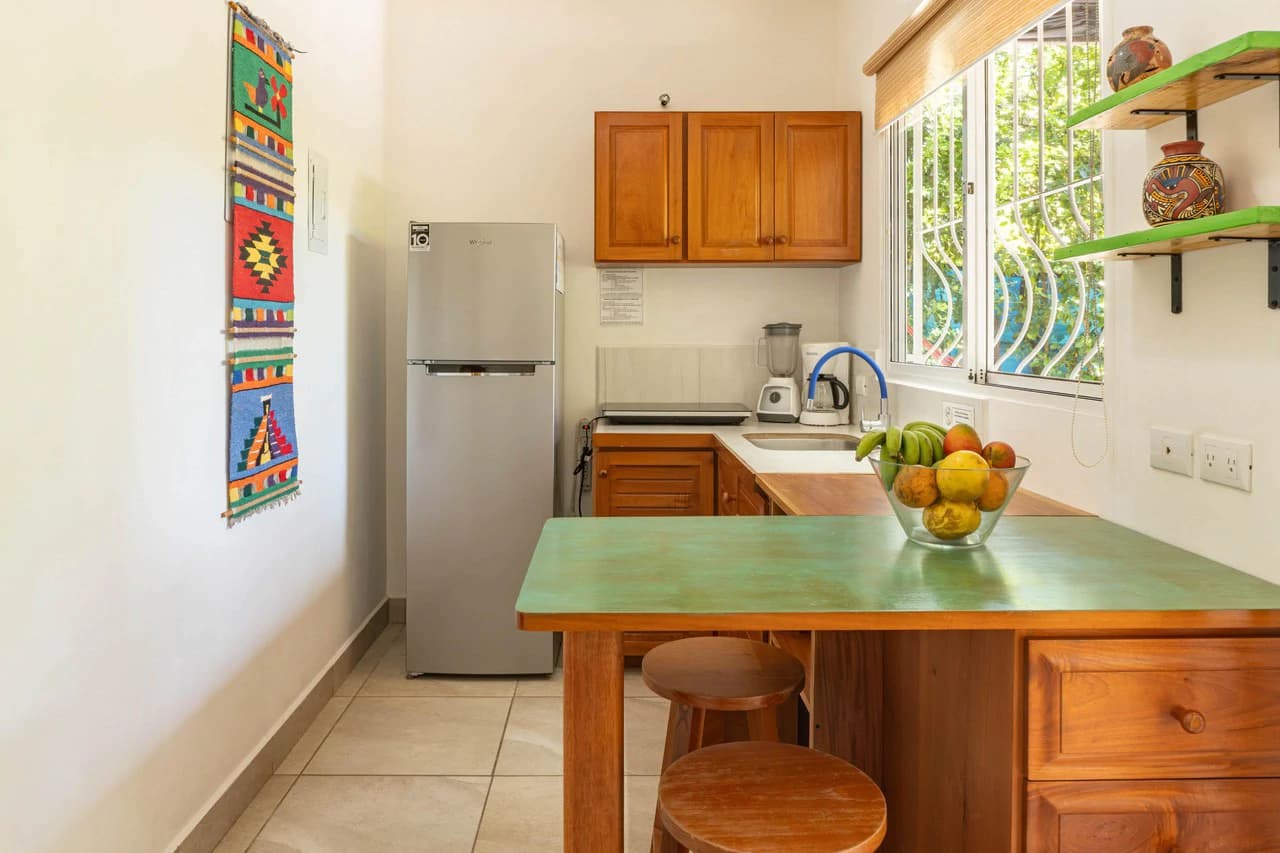 Casa Ceiba: Turnkey Investment Walking Distance to Beach - photo 3