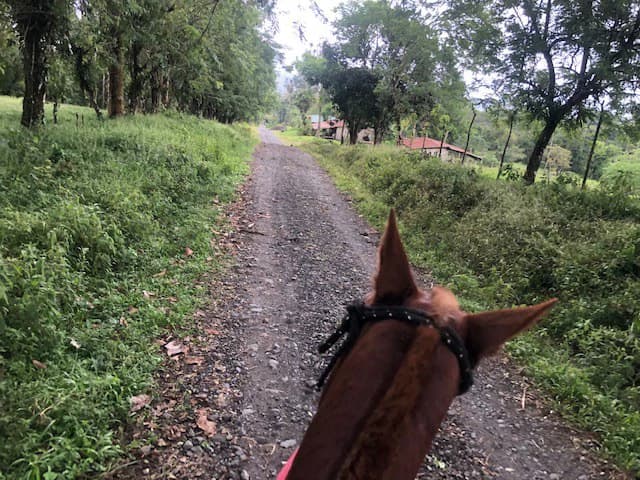 Hot and Cold Thermal Springs for Sale – Beautiful Property in Dos Ríos, Alajuela with Excellent Commercial Potential - photo 64