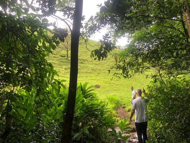 Warm Spring Mountain Property in a tropical landscape and antique wooden house, 50 minutes from Liberia city - photo 24