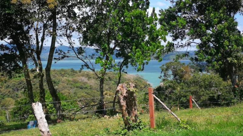 WATERVIEW PARADISE - Lake View Building Lot - photo 2