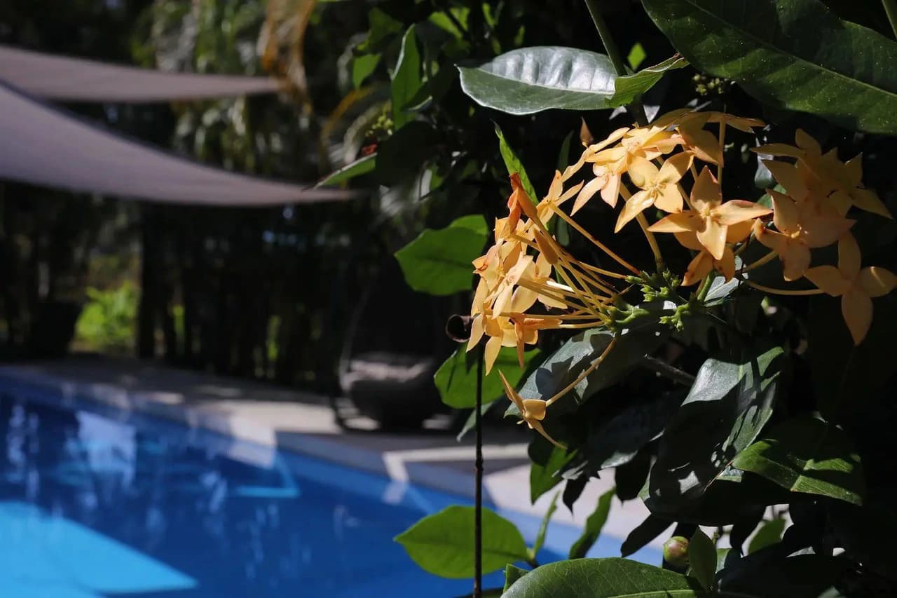 Tropical Luxury Estate with Private Lake, Pool & Prime Location Near Costa Rica’s Best Beaches: Near the Coast House For Sale in Parrita - photo 46