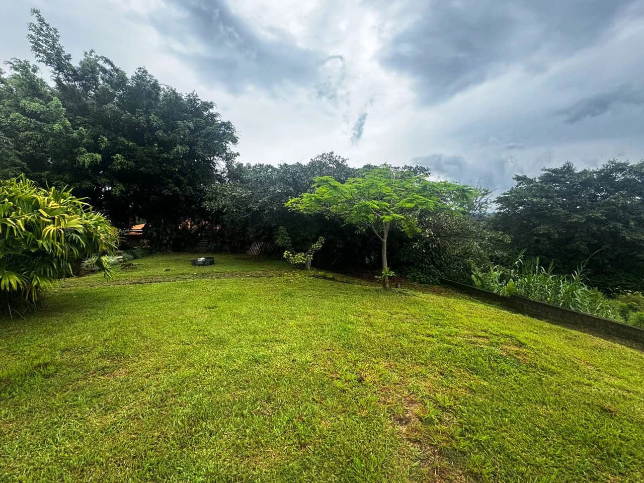 Casa Naranjo: Great Home on Large Quiet Lot - photo 3