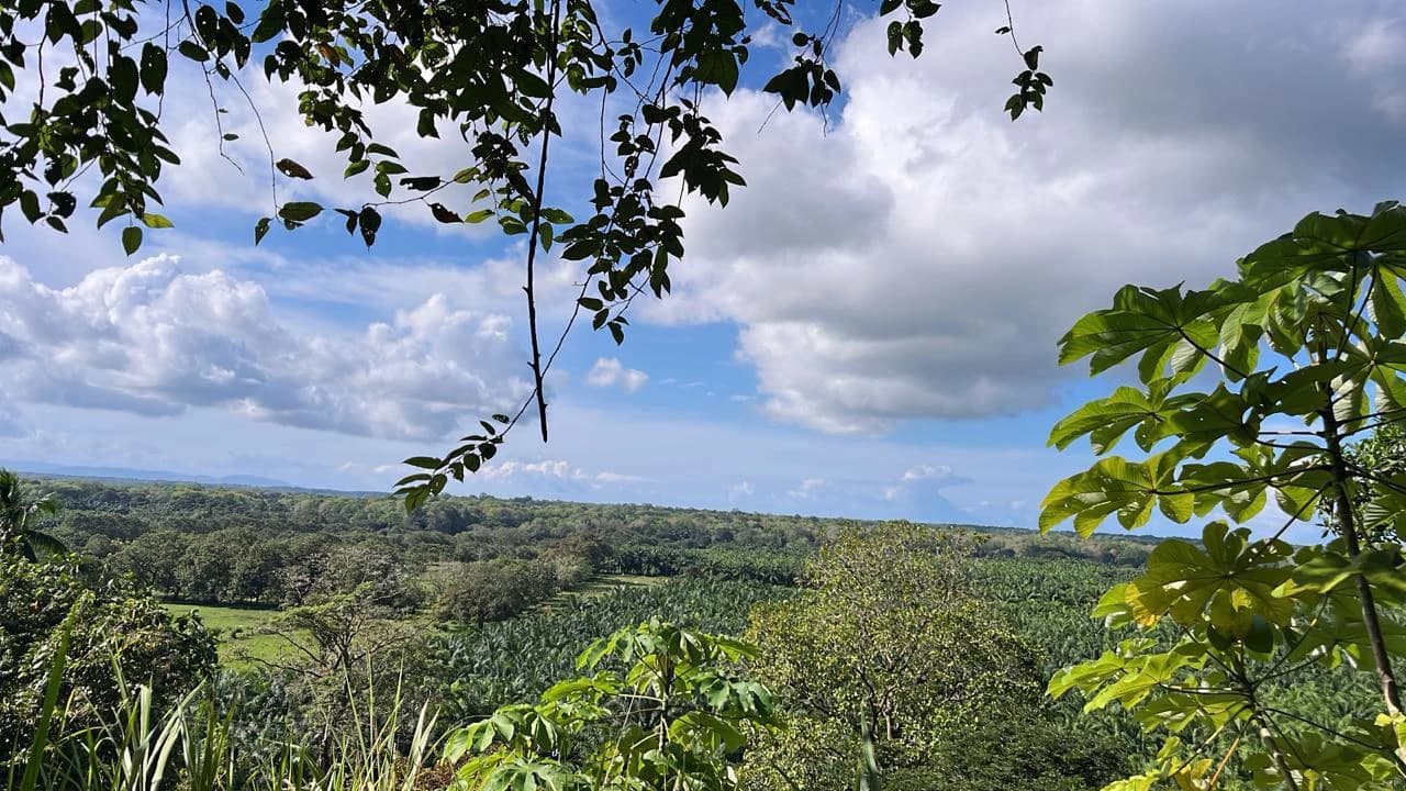 Near the Coast Home Construction Site For Sale in Ciudad Cortés - photo 4