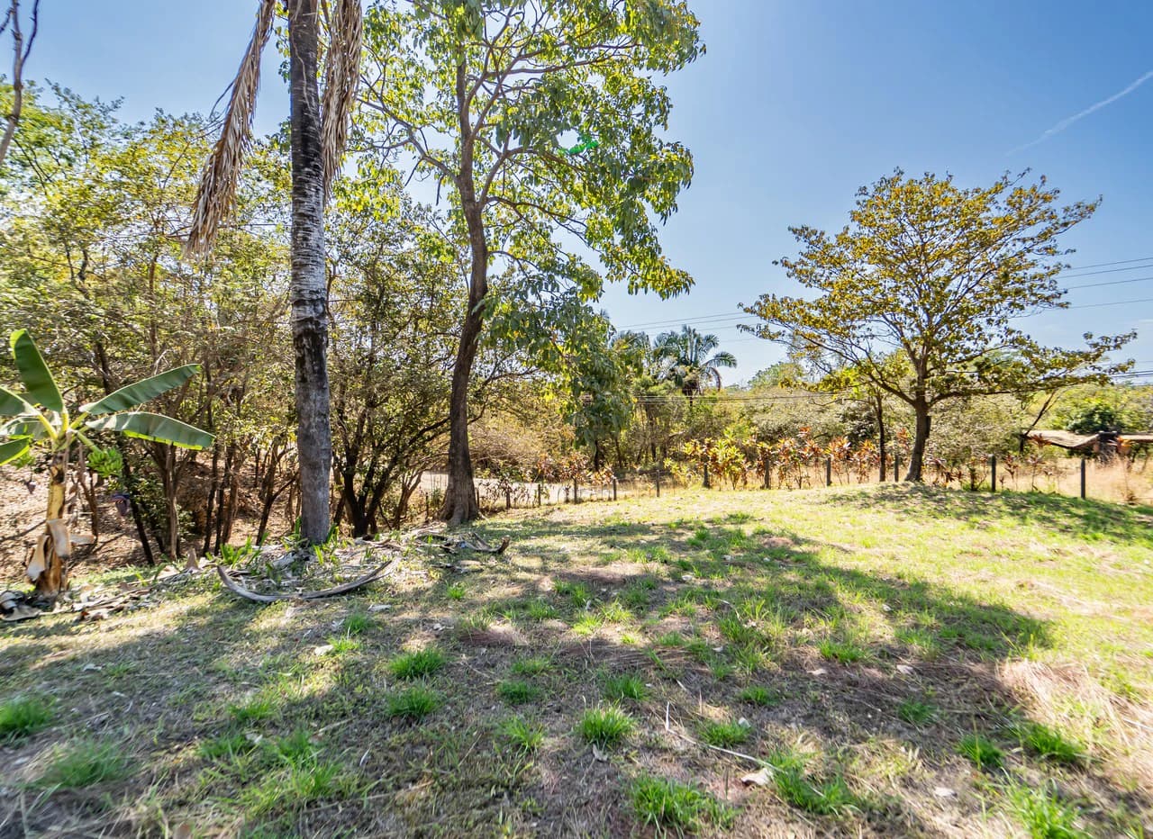Lote Camaronal Natural: Half Acre Lot Just Mins to the Surf - photo 6