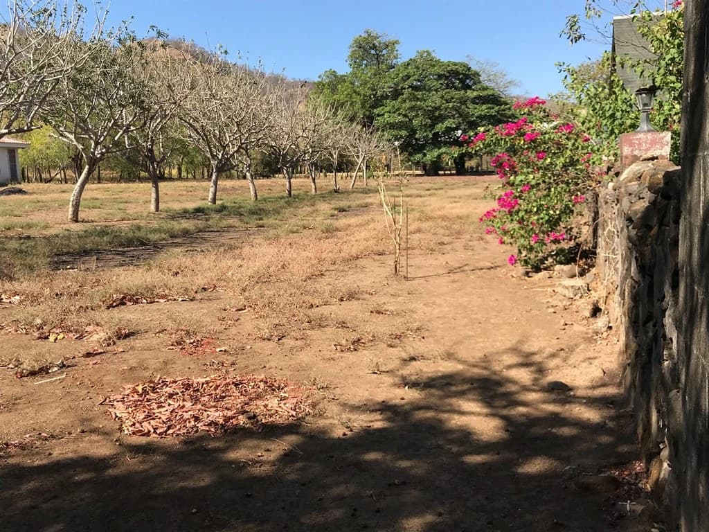 Strategic Lot for Sale in Playas del Coco – Excellent Investment Opportunity in a Prime Business Area - photo 8