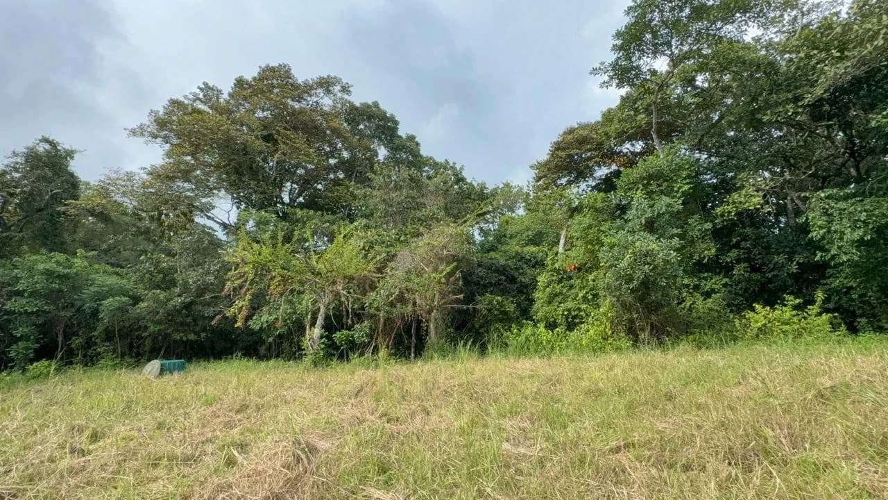 6000m2 Land Near Montezuma and Santa Teresa: ixed use, commercial and residential - photo 4