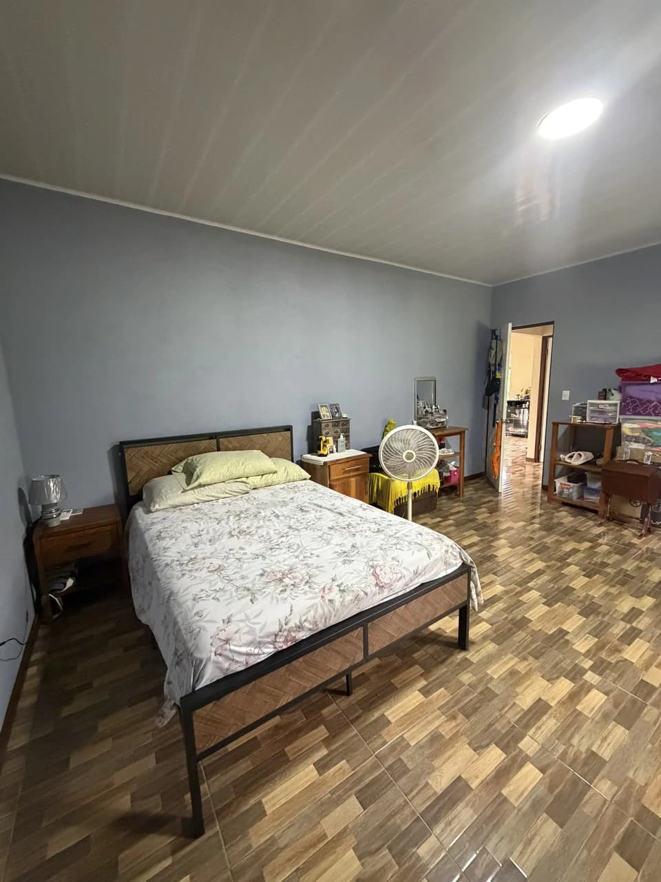 Country house with fruit trees for sales Upala Costa Rica - photo 5