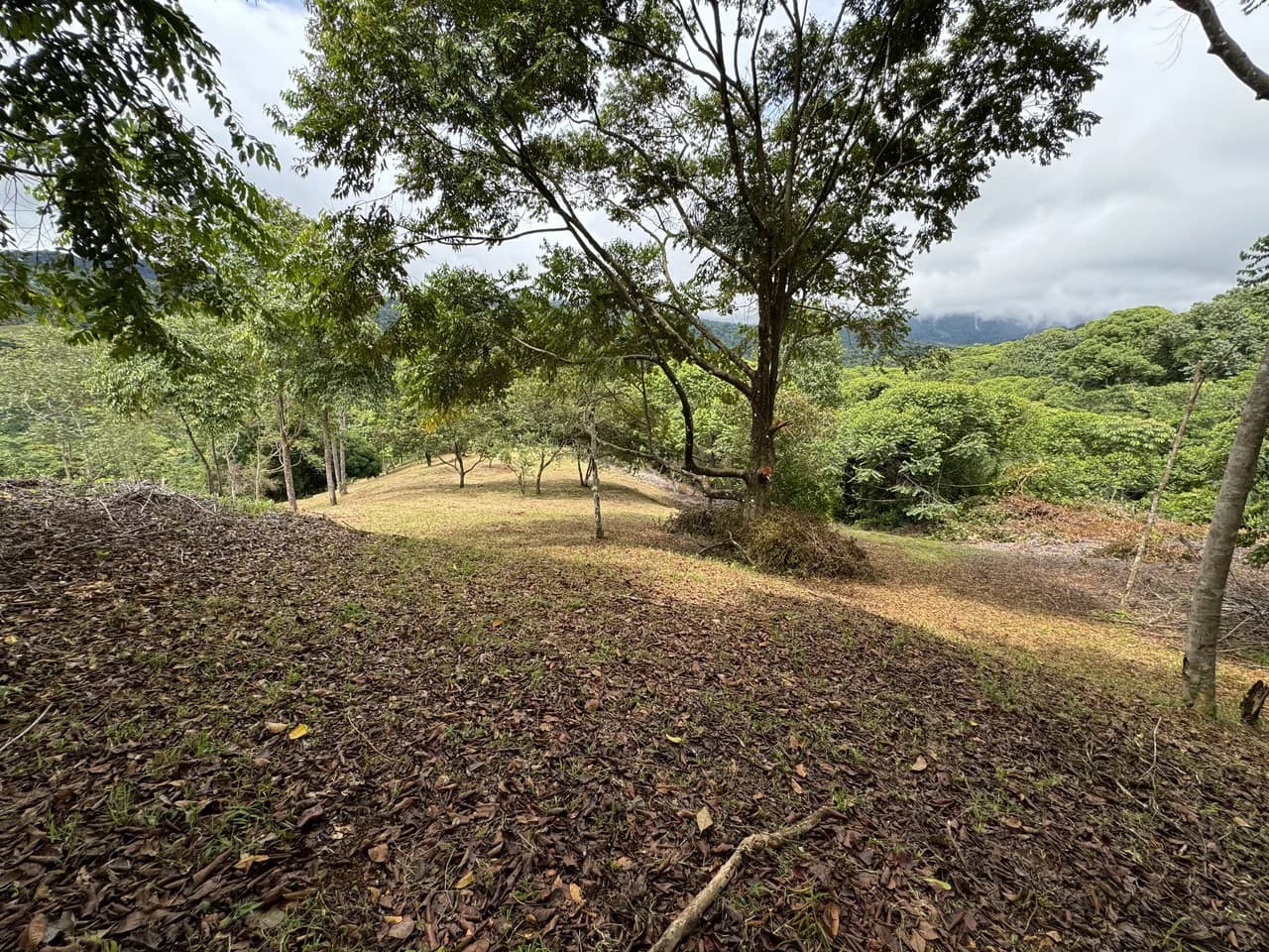 Diamante Waterfall View Land in Dominical 2.9 Acres - photo 10