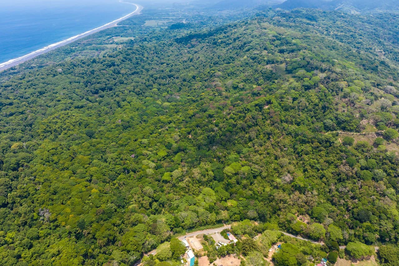Rare 86-Acre Ocean View Estate Bordering Hacienda Barú – A Unique Opportunity for Conservation and Development - photo 16