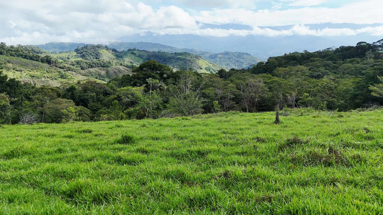 Mountain Agricultural Land For Sale in San Isidro del General - photo 2
