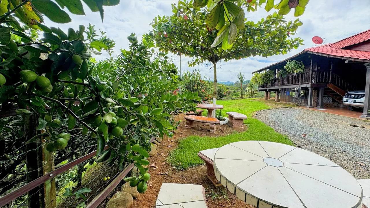 Charming Hardwood Cabin with Fruit Garden Near San Isidro - photo 31