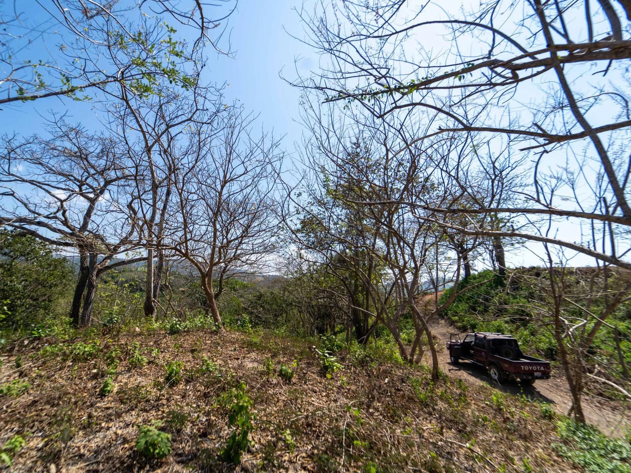Finca Punta Indio: Dream Investment Opportunity - photo 8