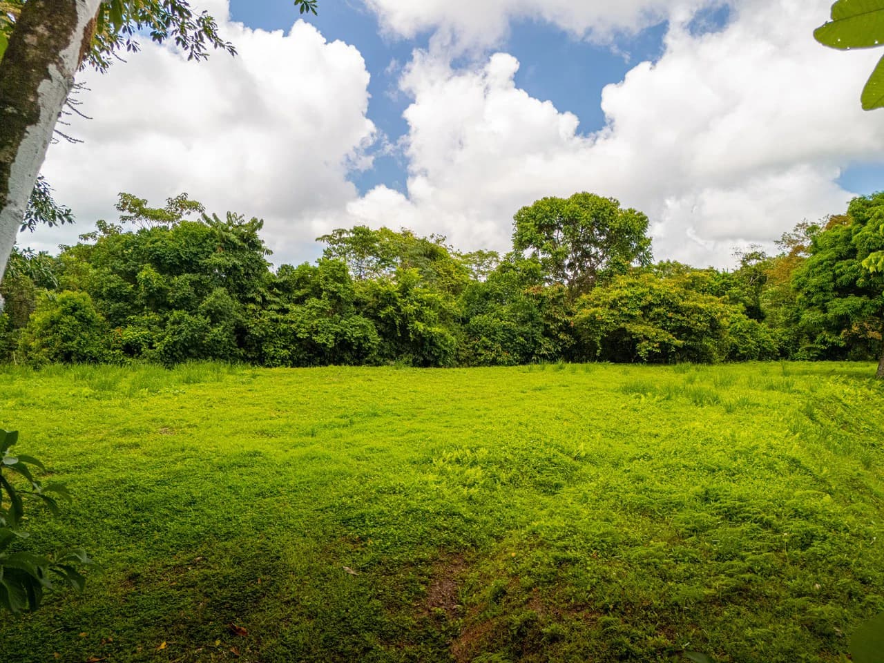 Tropical Paradise in Cascada Sándalo, Tres Ríos Ocean & Mountain Views | Gated Community | Abundant Nature - photo 2