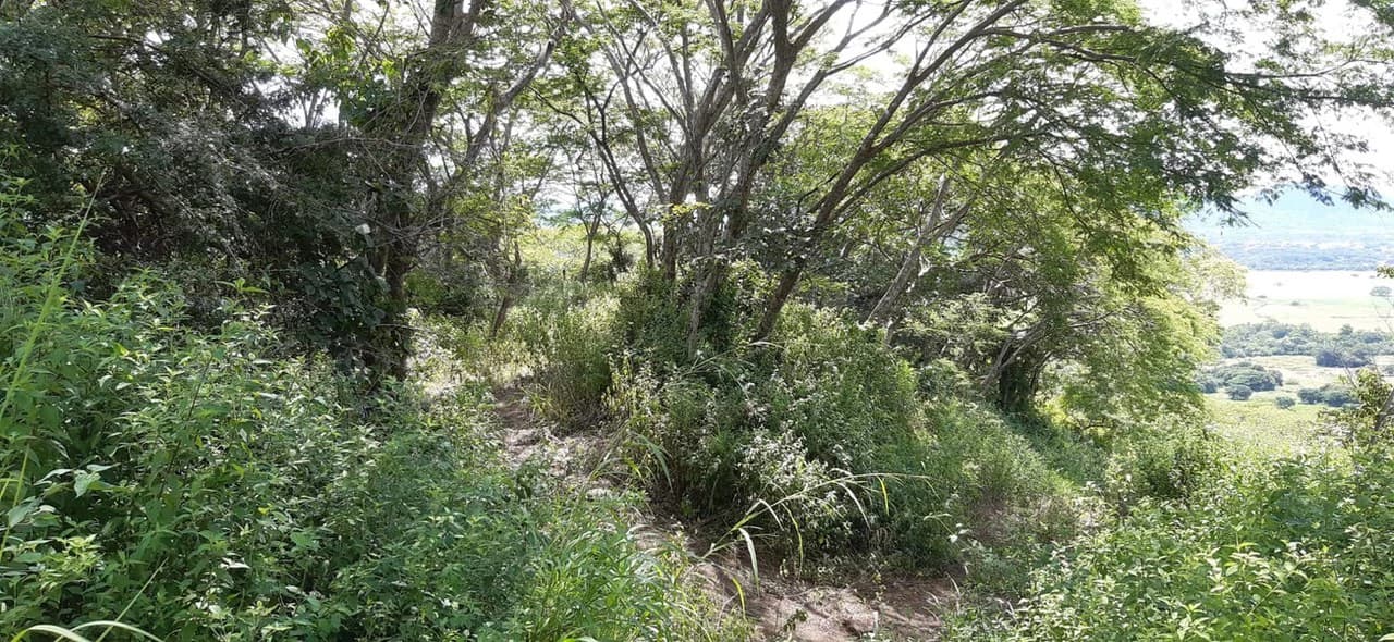 FINCA WITH BREATHTAKING MOUNTAIN VIEWS IN SANTA CRUZ - photo 3