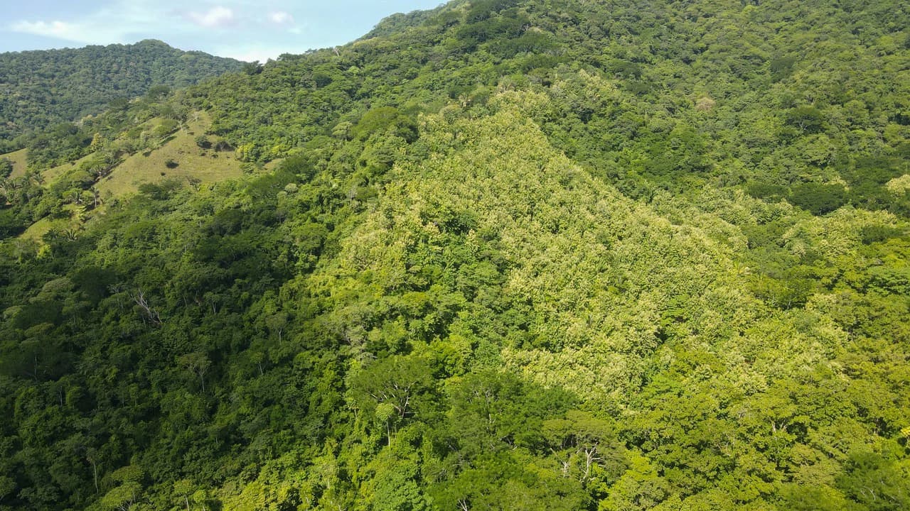 Farm for sale Bejuco Nandayure Guanacaste Costa Rica - photo 2