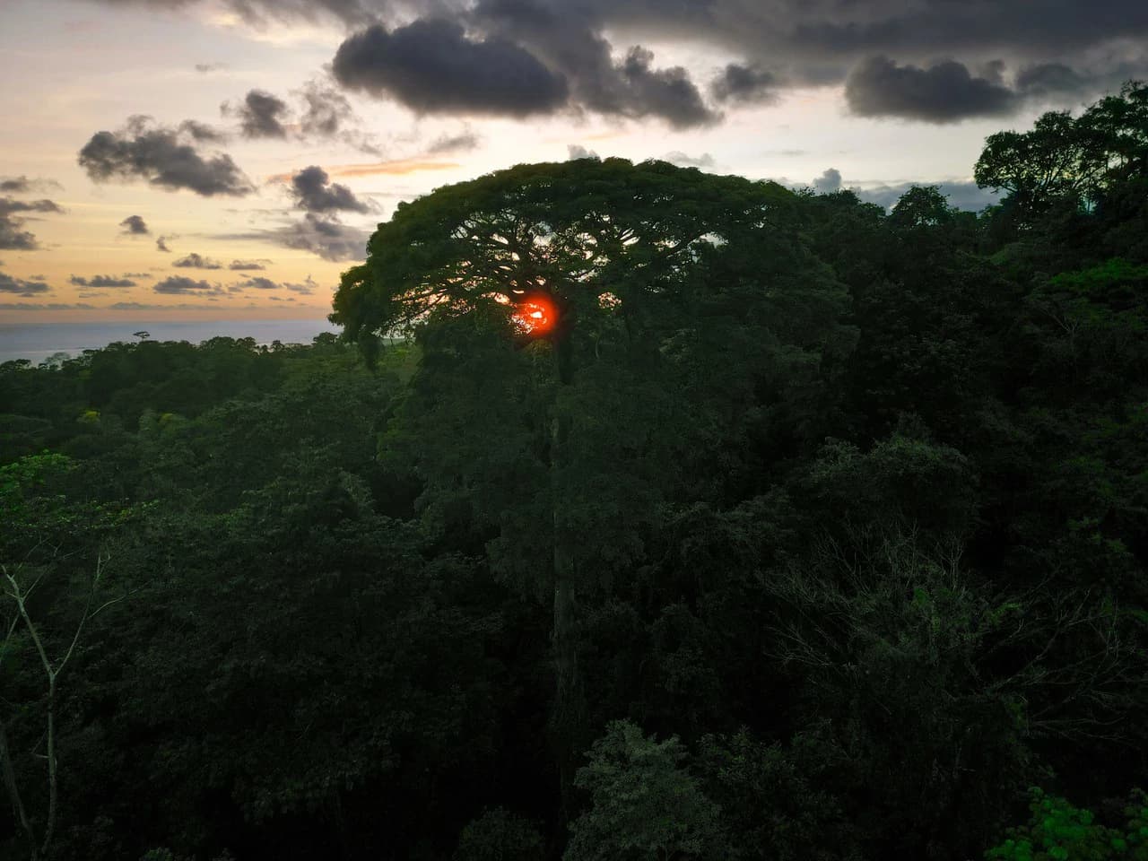 Build Your Vision in Uvita – 15.9 Ocean View Acres with Easy Access + Utilities Ready! - photo 12