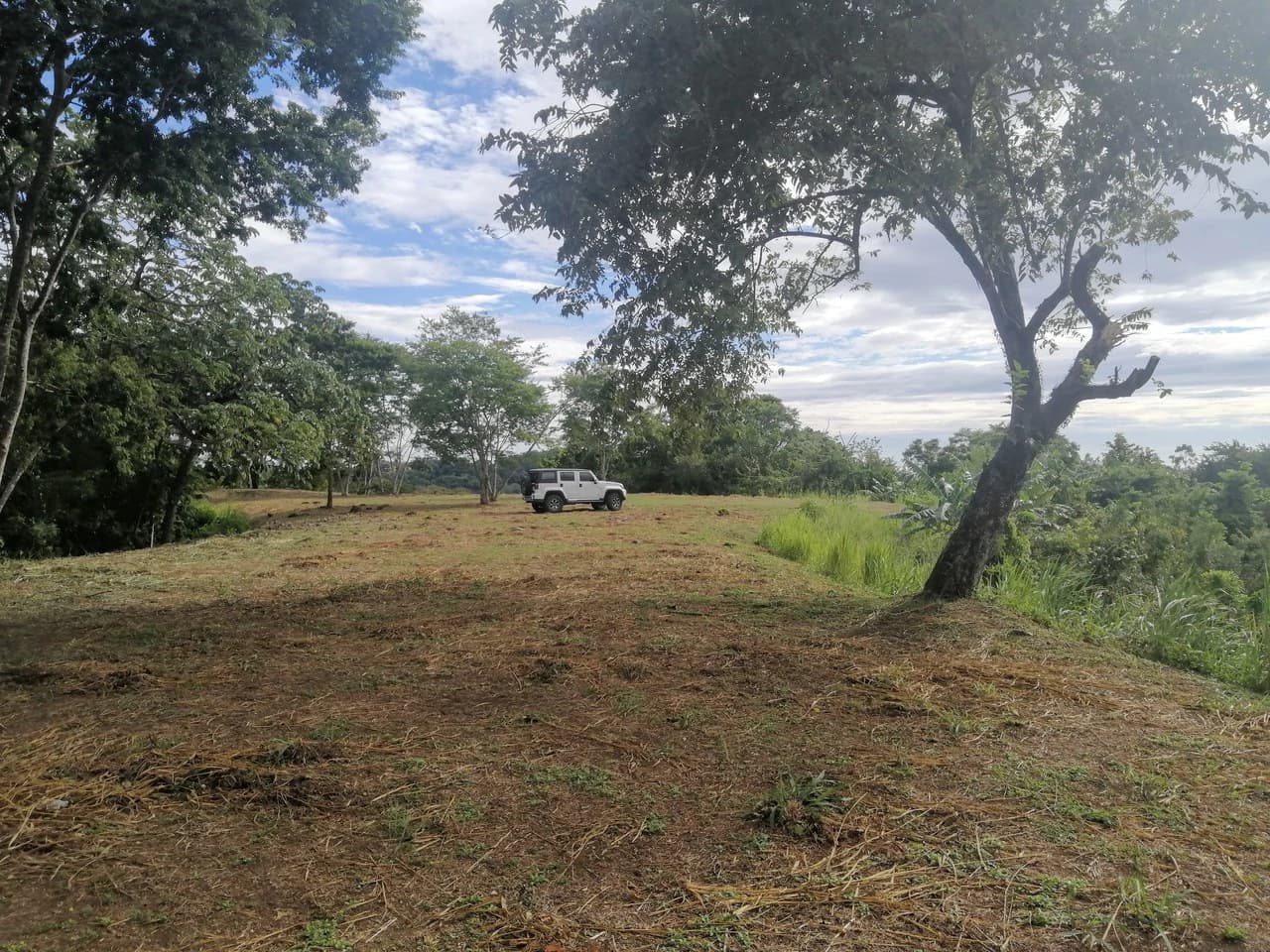 Large Oceanview Lot With Platform Close to Samara - photo 4