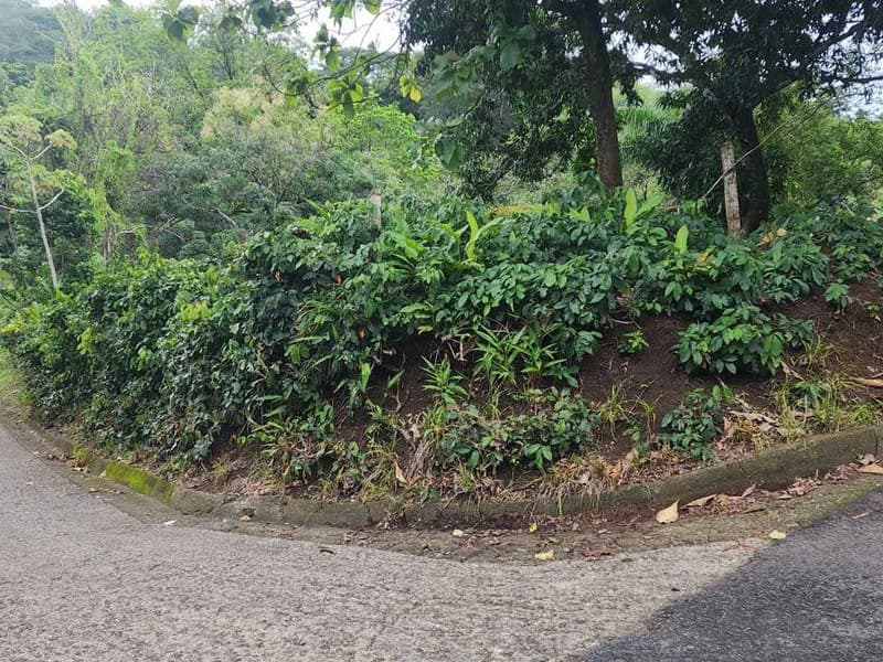 Subdividable lot in Manuel Antonio - photo 2