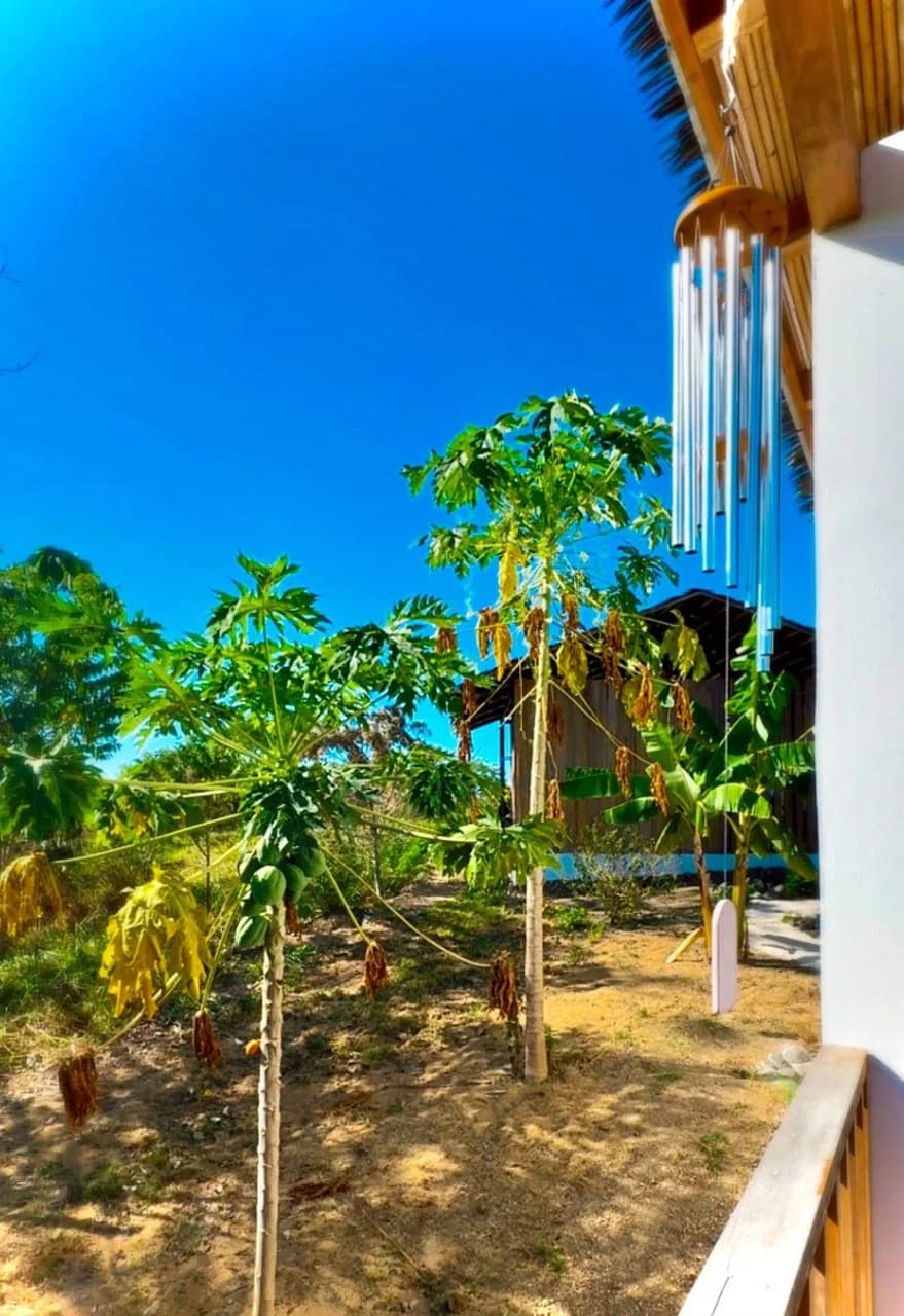 Casa Lilith: $1.39 Million - Luxury Jungle Estate with Guest House in The Ark Community, Santa Teresa Costa Rica - photo 46