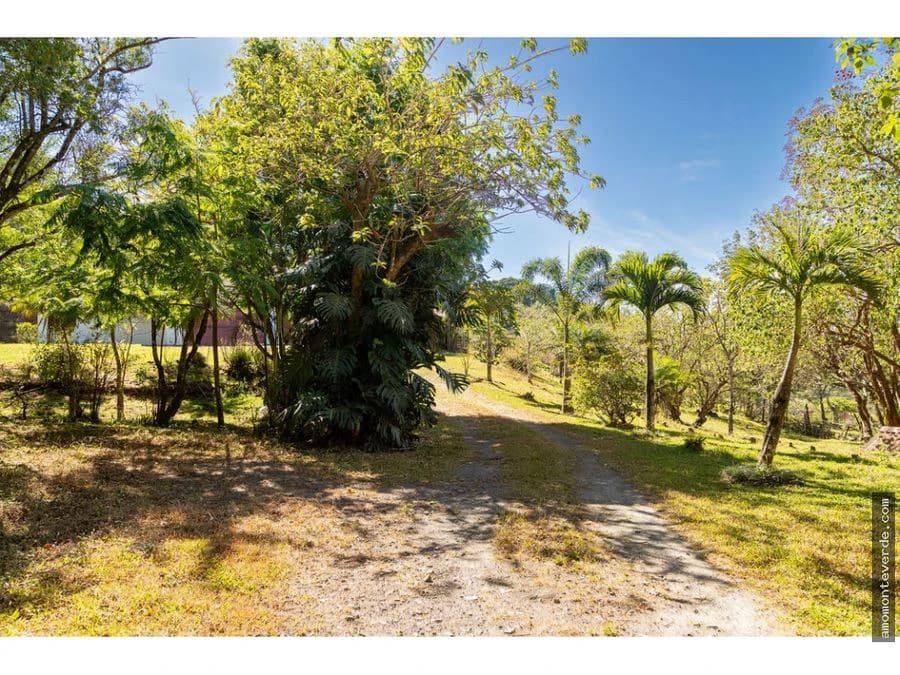 5-Acre Property with 2 Houses and Stunning Nicoya Gulf Views CE0324: 5-Acre Monteverde Retreat with Two Homes and Stunning Gulf of Nicoya Views – Ideal for Eco-Projects or Private Living - photo 17