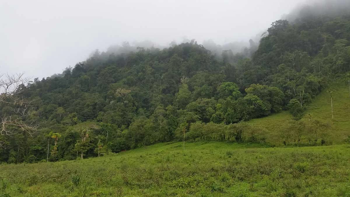 Finca Tesoro Escondido - The Jewel of Uvita - photo 5