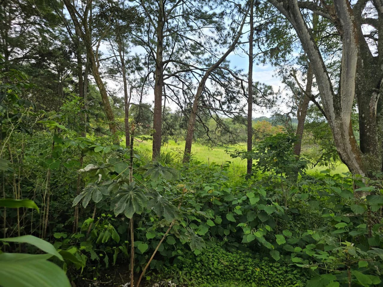 Land for sale in Residencial Montisel - photo 9
