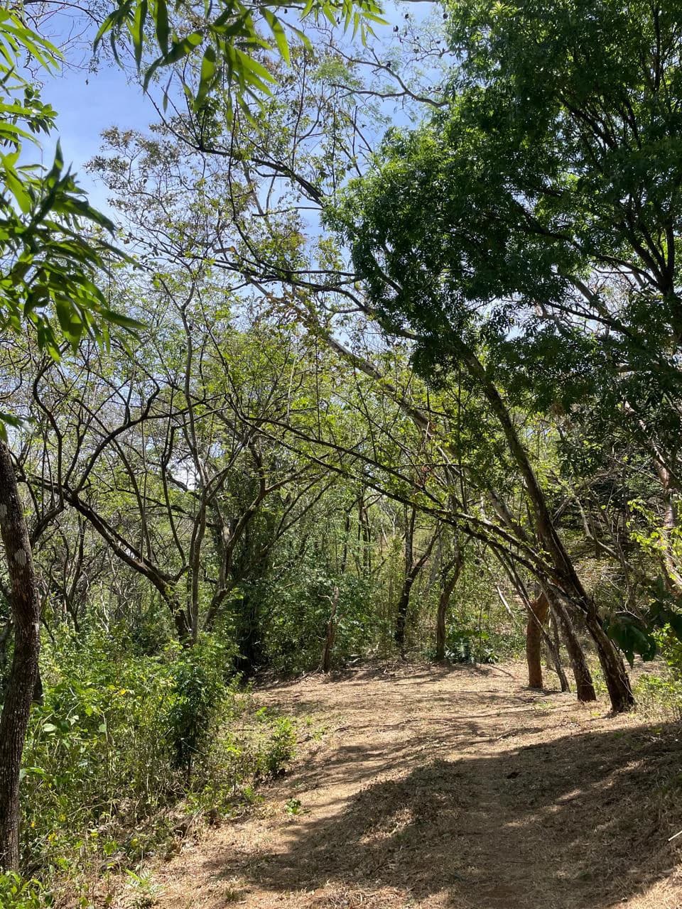 Ocean view property for sale Rodeo Ciudad Colon San Jose Costa Rica - photo 15