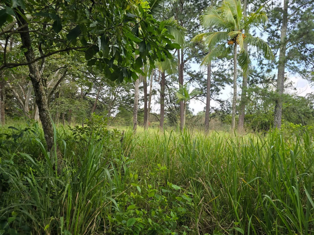 Land for sale in Residencial Montisel - photo 5