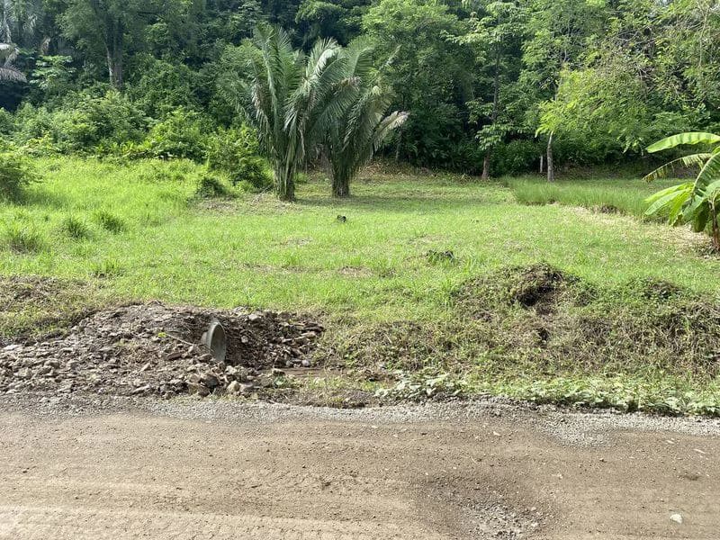 Lote Palmas: Last Affordable Flat Lot in Buena Vista, Just Minutes from Samara Beach - photo 2