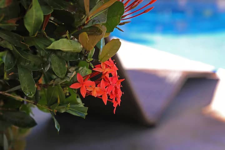 Amazing Casa Lago in Monterrey!: Private Lake and Close to Beaches! - photo 35